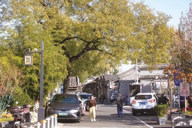 一条斜街在水岸