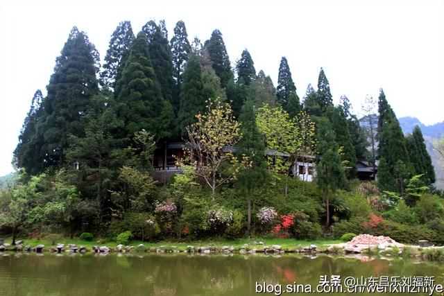 领袖峰及其它（江西之旅第八十五篇）