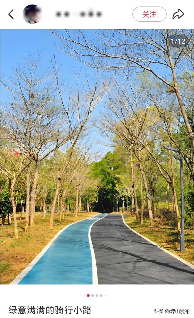 看完你的 看你的,坪山这片格桑花海承包你的秋日治愈感!