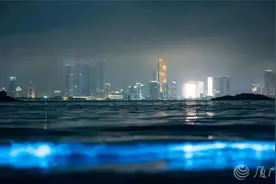 “美哭”！“蓝眼泪”，来了→图片