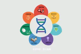 转基因食品的 "七色花" 安全守护战：带你看懂科学评价全过程图片