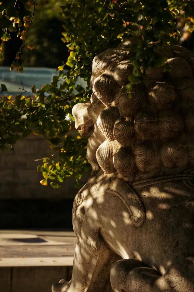 博物馆秋之旅丨博物馆限定！这些古建里的绝美秋色不可错过——