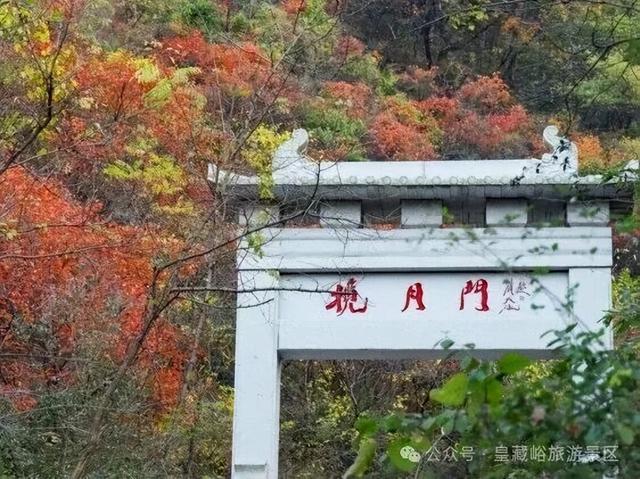 不止有红叶！皇藏峪NPC互动解锁新玩法