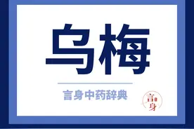 乌梅（敛肺涩肠药）图片