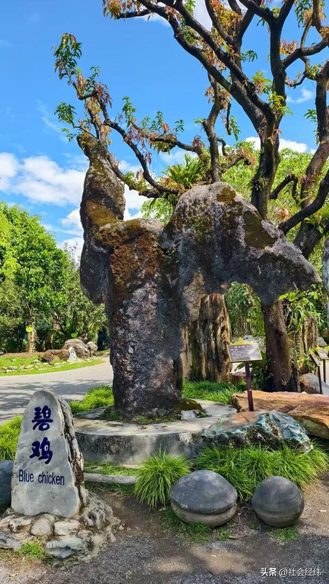 【每日一景】云南德宏勐巴娜西珍奇园