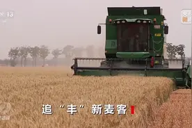 焦点访谈丨麦收效率大幅提升！来看这些“新麦客”→图片