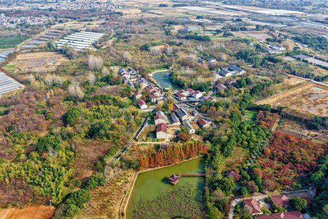 荣炳：乡村冬韵浓 美景入画来