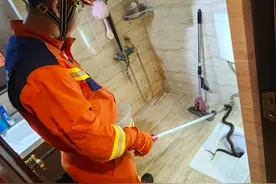 2米长大蛇半夜闯入居民家中 消防员立即出动“捉拿”图片