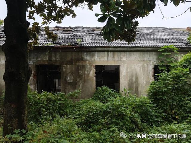 「转载」隐匿在南京老山的生化残城