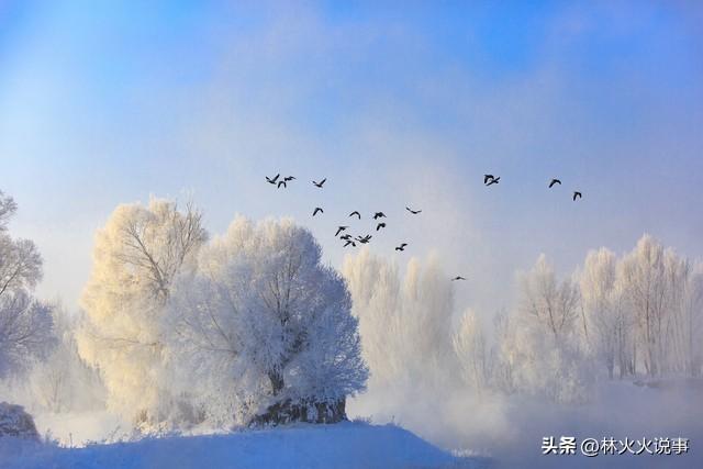 “三九寒不寒，看九月初一”，今日九月初一，今年冬天冷到哭吗？