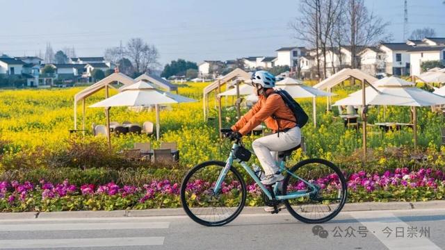 日均近10000人次！坐着高铁来崇州看“花花”