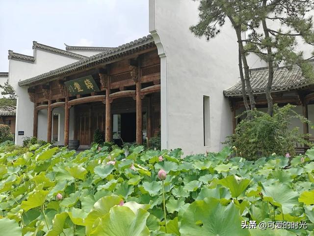 1000元实现了3天济南遛娃之旅
