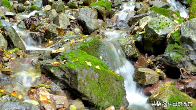 河北百草畔（上）：风动孤石悬险韵，蚁巡深岭蕴生机