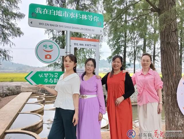祁东：水杉风景美如画 网红打卡等您来