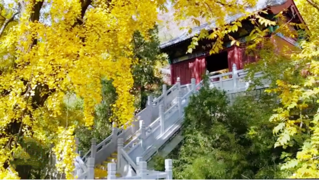 泰安秋韵：一入此境便难忘