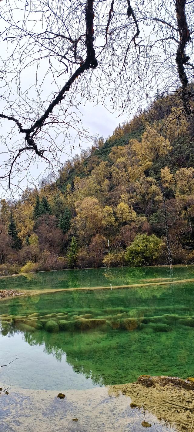神仙池（一）竖幅