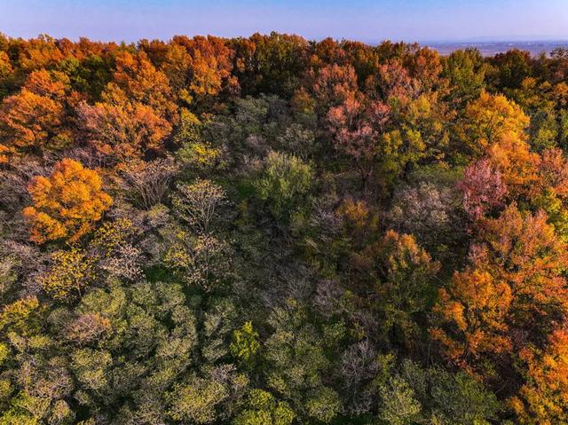 免费打卡明光女山,人少景美超级治愈~