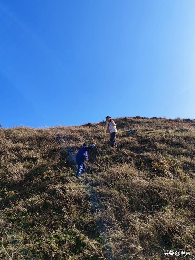 周末登山---红山寨