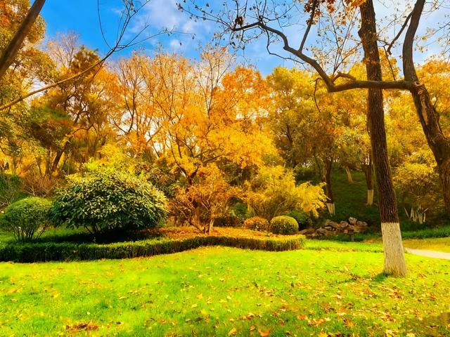 初冬限定之美——兴庆宫里的一步一景