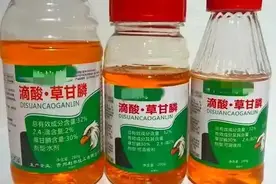 草甘膦别乱用！掌握这些方法，高效除根，彻底除草，安全更实惠。图片