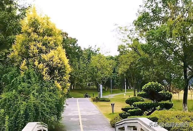 成都主城区最大人工湖，秋天超级惊艳，不要门票，地铁公交直达！