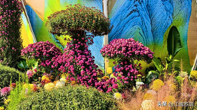 中山公园的秋，是写给武汉的一首诗