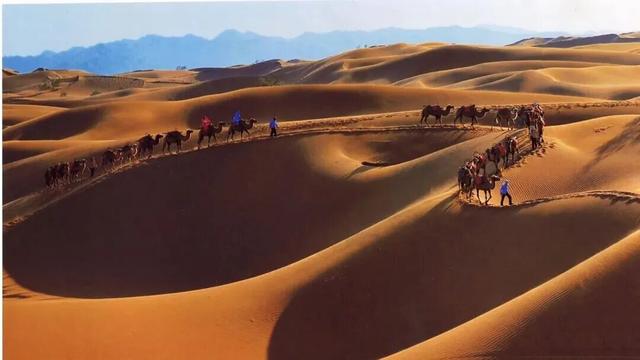 塞上江南 颐养宁夏丨中卫篇：品味杞乡风情，体验沙水相依的颐养之旅