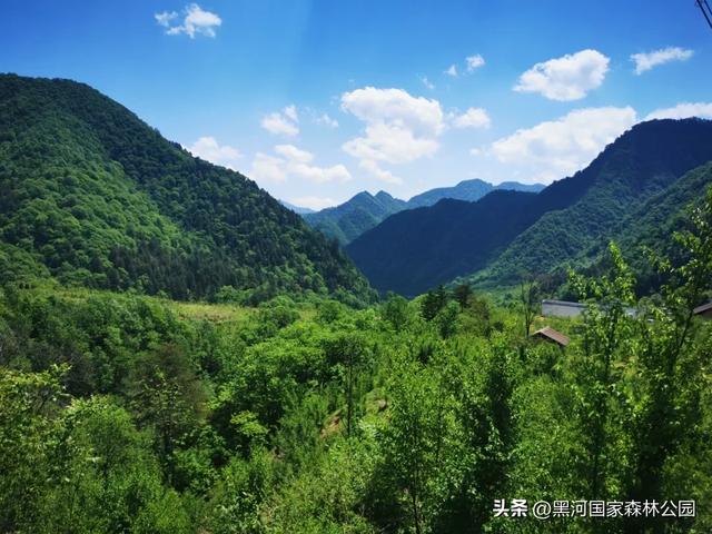 秋天,邀你看一看藏在黑河山间的一场秘境童话