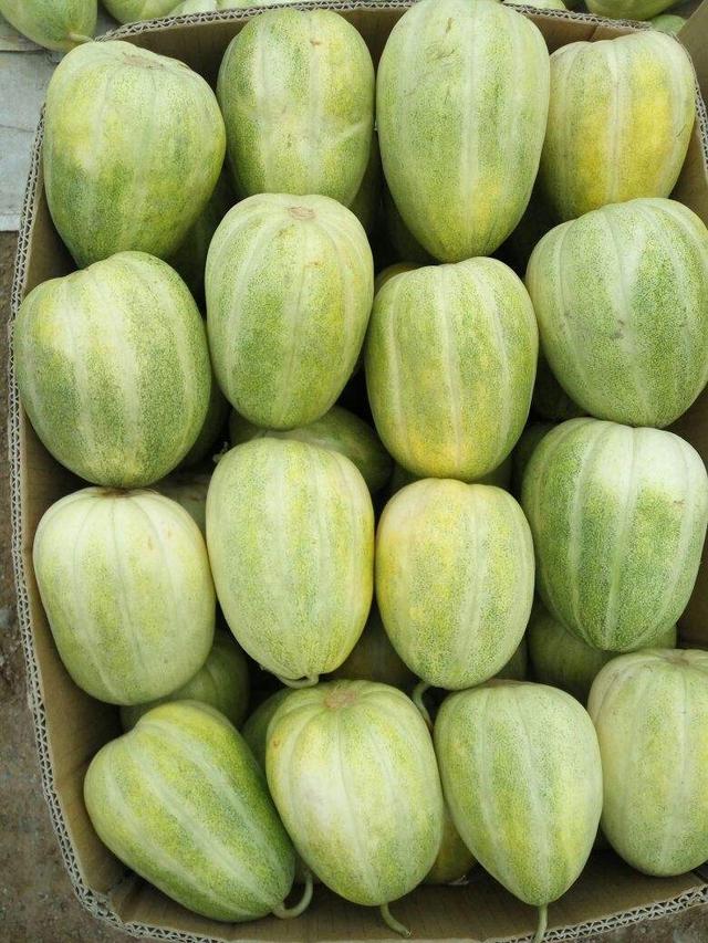 山西省最大地级市，比北京上海加起来还要大