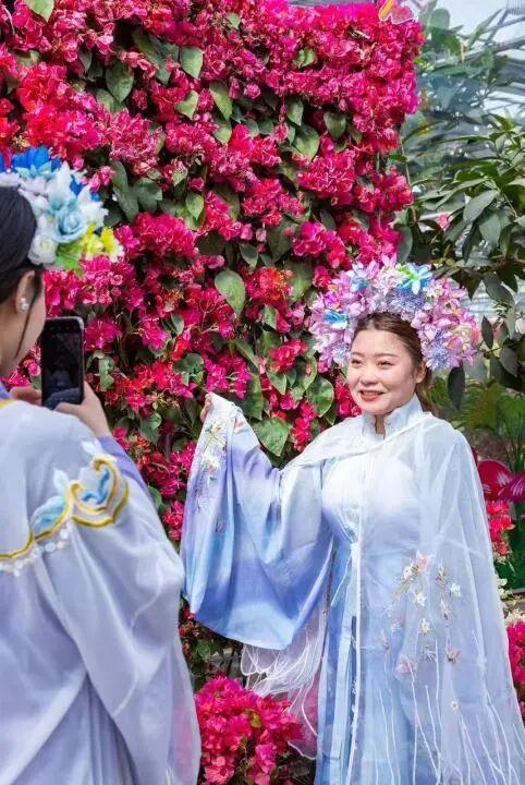 冬日奇遇开启！五洲植物乐园藏着超多惊喜！寻绿不跑空！12月营业时间新鲜出炉~