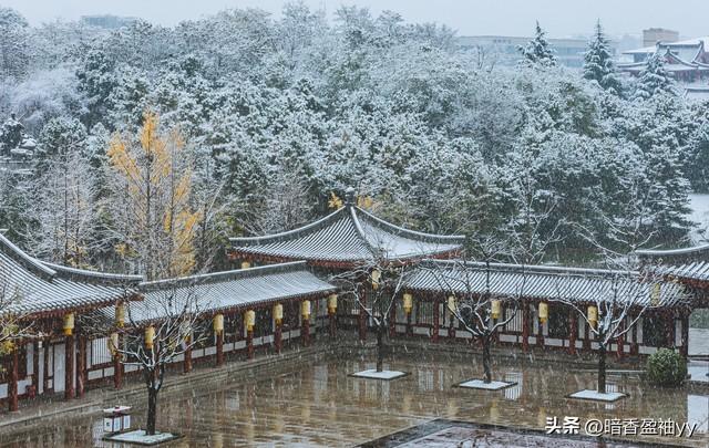 长安一场雪，已闻春声动。大寒，梅红藏雅韵，雪落惊客颜