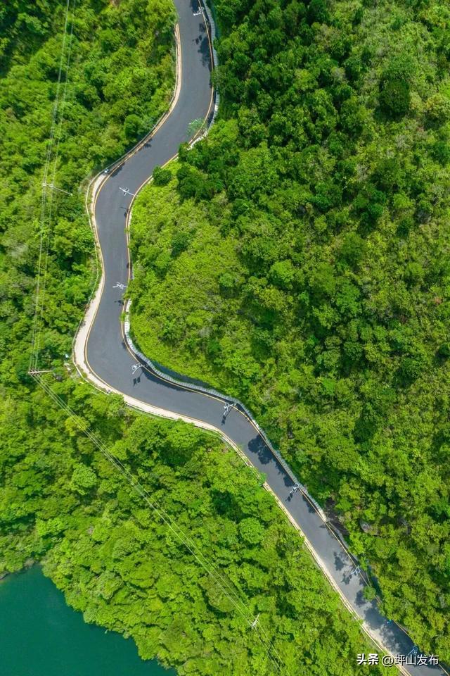 骑遇坪山① | 宝藏“高颜值”骑行线，拍出森系大片刷爆朋友圈