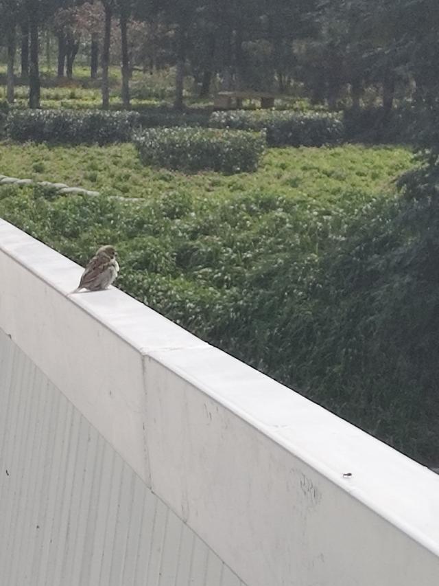 徒步穿越西流湖，赏秋正当时