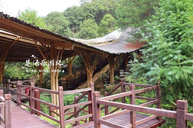 绍兴上虞的红杉观赏胜地，杉树未红时的景色也很美，非常值得游玩