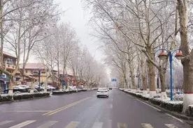 雨雪+大风+跌破冰点！这里已下雪！山东最新预报图片