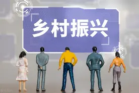 好消息！2025年农村帮扶政策大调整，手把手教您看懂能领哪些钱！图片