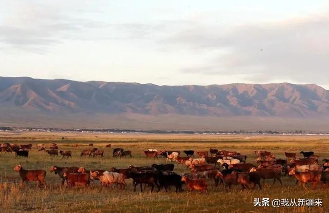 克州秋日旅行清单，解锁万山之州的N种玩法