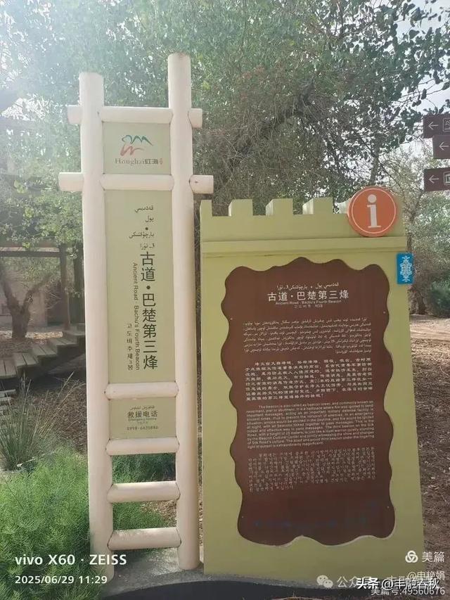 探秘新疆巴楚红海景区:自然与人文的交响| 申艳娟