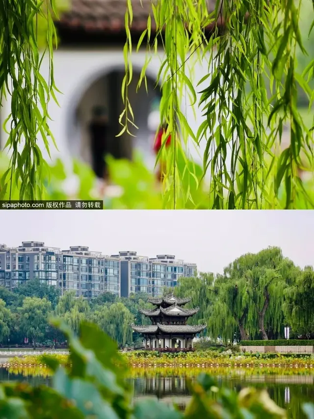 热播剧《许我耀眼》取景地大揭秘！就在——