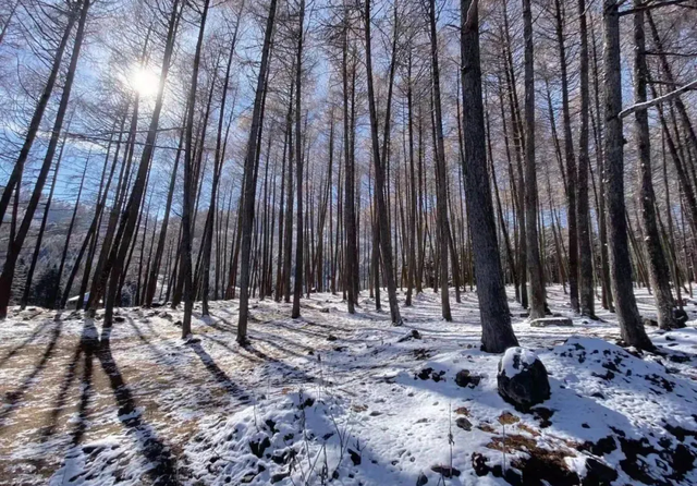 在雅安！！这么美的雪景我当然狠狠宣传啊啊啊！！
