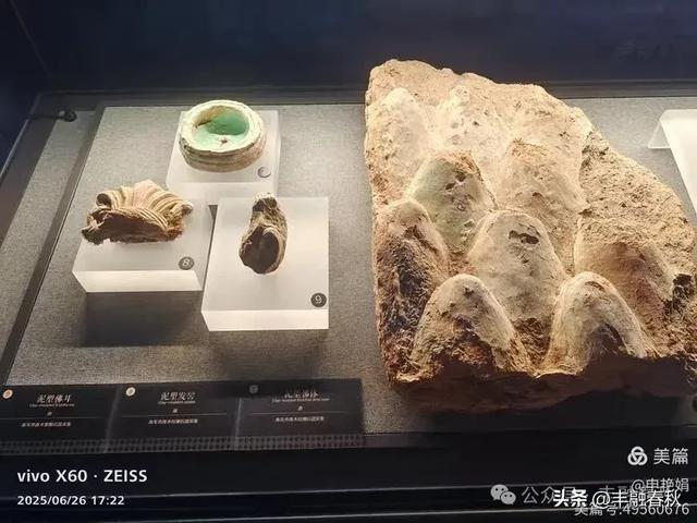 穿越千年的丝路回响：走进龟兹博物馆｜申艳娟
