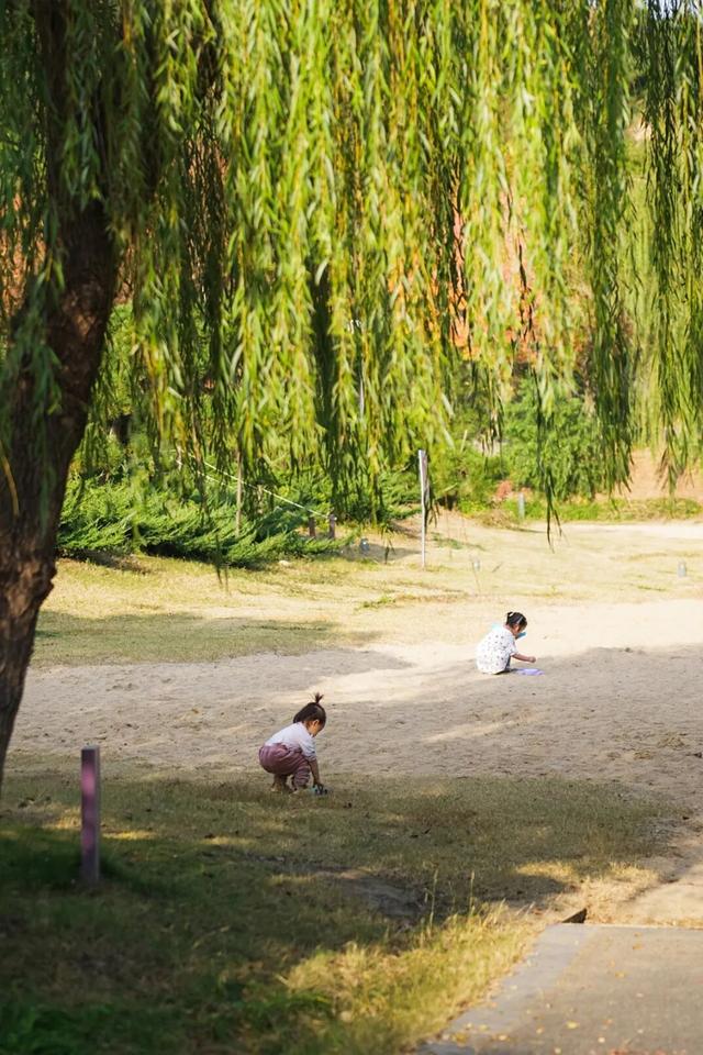 免费！景美！张家港这3处绝美打卡地藏不住了！
