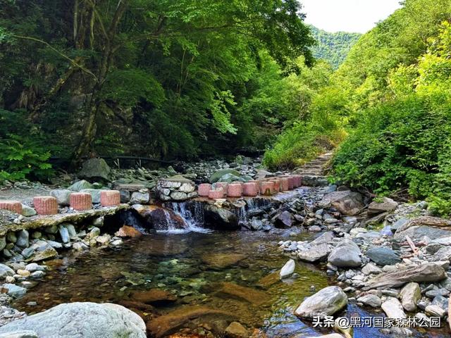 夏季避暑有“凉”方,黑河山水邀你共赴清凉盛宴!