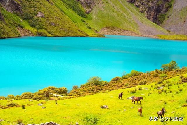 秋天不去西藏玉许乡，真的会遗憾一整年！3日沉浸式漫游指南送你！