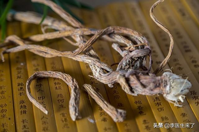 风湿骨痛选药难？独活、威灵仙、秦艽核心区别一文讲透！