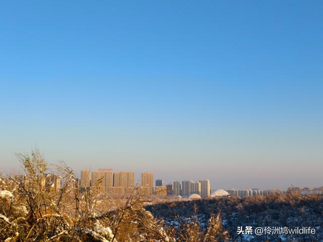 新疆乌鲁木齐红光山大佛寺