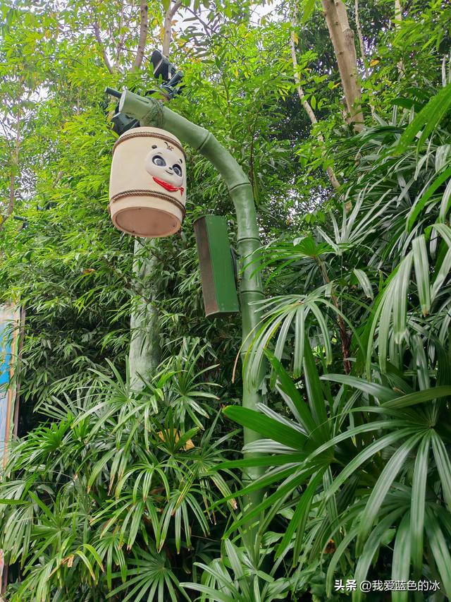 参观广州长隆野生动物园，全程感觉眼累手累腿不累