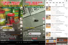 牛约堡后厨“蟑螂横行”：外卖订单近八成，客服称总部可监控全国门店图片