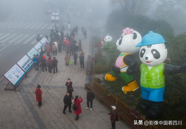 四川雅安：碧峰峡风光旖旎引客来