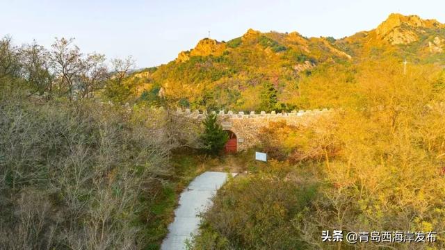 走不出这画了,我已被西海岸的秋景迷倒 🥹